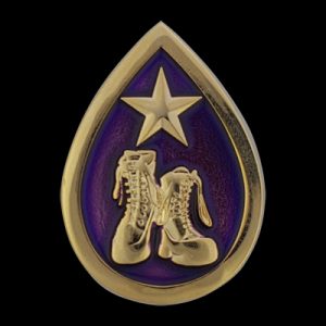 Gold Star Teardrop Pin