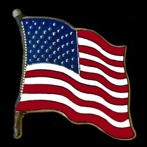 American Flag Pin